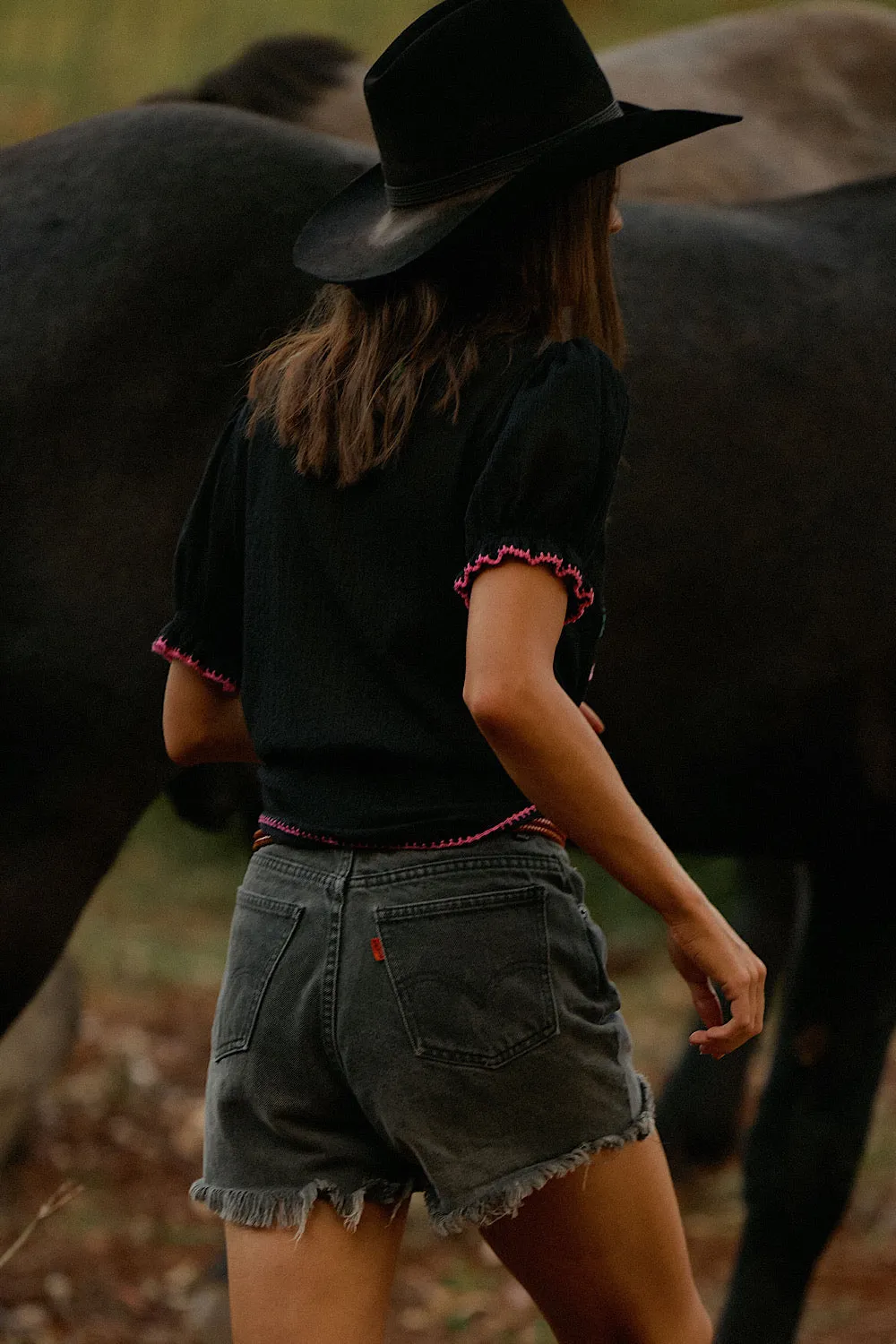 Song Of The Wind Embroidered Blouse